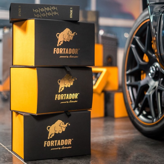 Portable mini steam cleaner Portable mini steamer for cleaning Fortador Volt Mini